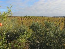 Terreno Urbanizable En venta en Jerez De La Frontera photo 0