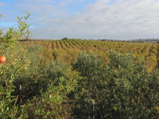 Terreno Urbanizable En venta en Jerez De La Frontera photo 0