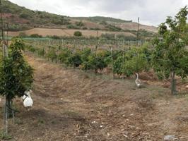 Terrenos Edificables En venta en Paterna De Rivera photo 0