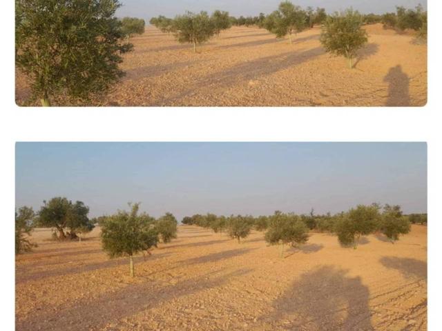 Terreno Urbanizable En venta en Villafranca De Los Caballeros photo 0