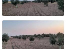 Terreno Urbanizable En venta en Villafranca De Los Caballeros photo 0