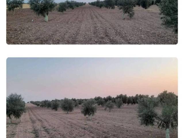 Terreno Urbanizable En venta en Villafranca De Los Caballeros photo 0