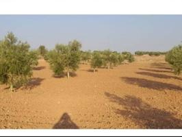 Terreno Urbanizable En venta en Camuñas photo 0