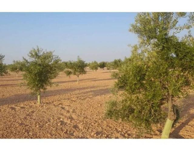 Terreno Urbanizable En venta en Villafranca De Los Caballeros photo 0