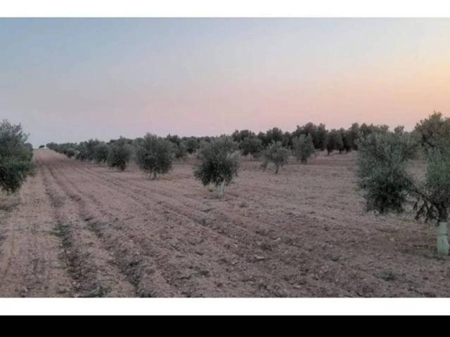 Terreno Urbanizable En venta en Villafranca De Los Caballeros photo 0