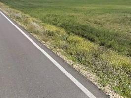 Terreno Urbanizable En venta en Pueblo Cebolla photo 0