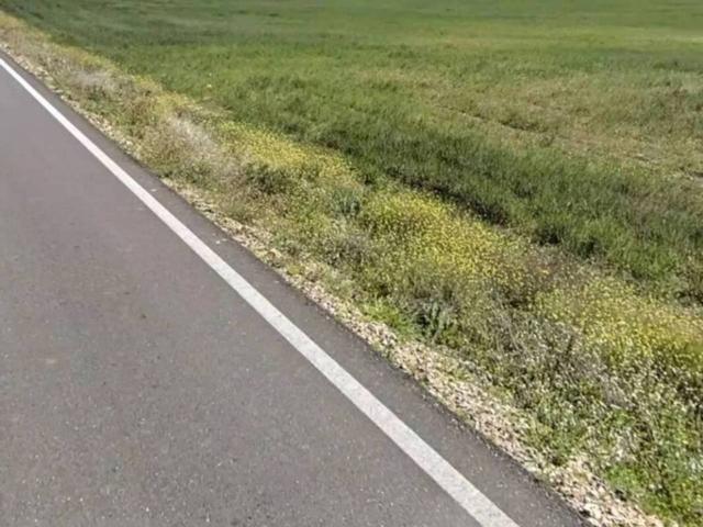 Terreno Urbanizable En venta en Pueblo Cebolla photo 0