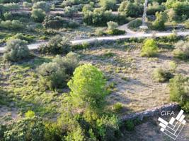 FINCA EN SANT JORDI photo 0