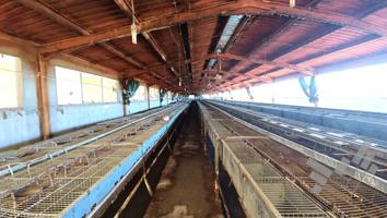 ¡Gran Oportunidad! Se Venden 3 Granjas con Excelentes Condiciones photo 0