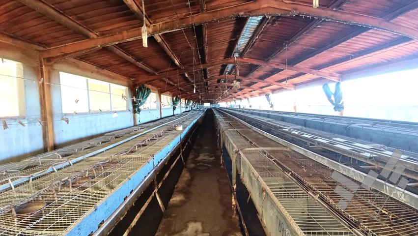 ¡Gran Oportunidad! Se Venden 3 Granjas con Excelentes Condiciones photo 0