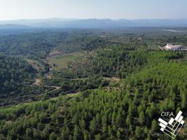 Finca rustica en venta en Sant Mateu photo 0