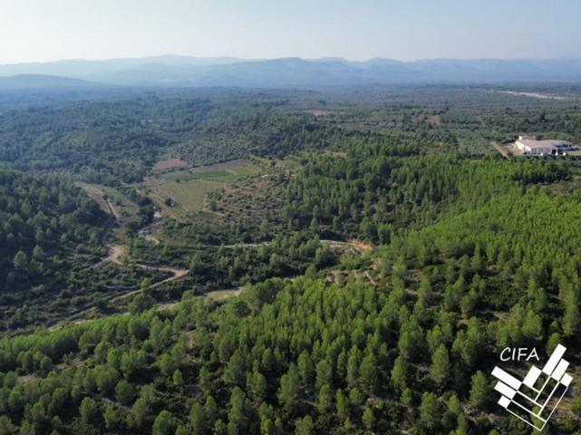 Finca rustica en venta en Sant Mateu photo 0