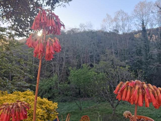 EN VENTA AUTENTICA MASIA CATALANA DEL 1730 photo 0