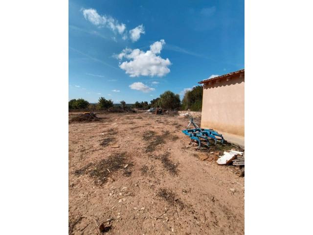 Terreno en venta en Manacor photo 0