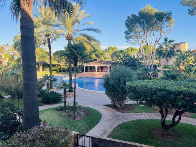 Piso En alquiler en Calvià photo 0