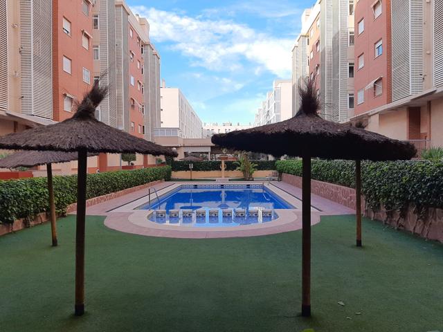 Piso En alquiler en Calle Bailarin Jose Espadero 12, 03015, Alicante-alacant, Alicante photo 0