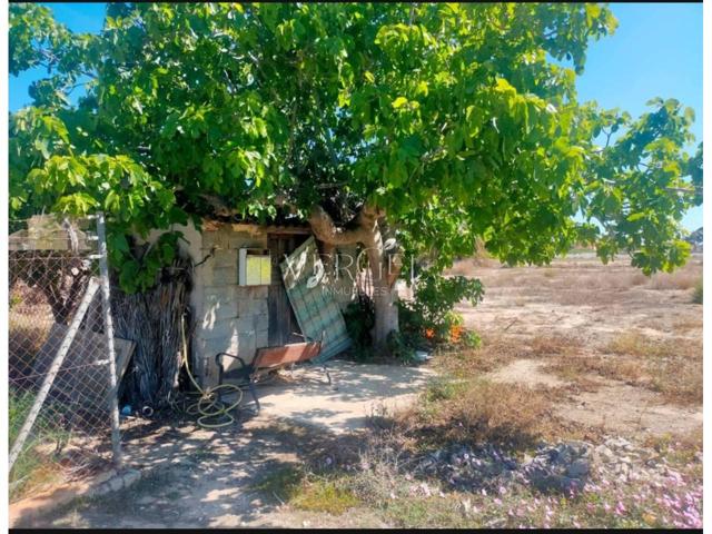 VENTA DE TERRENO EN LA HOYA-ELX photo 0