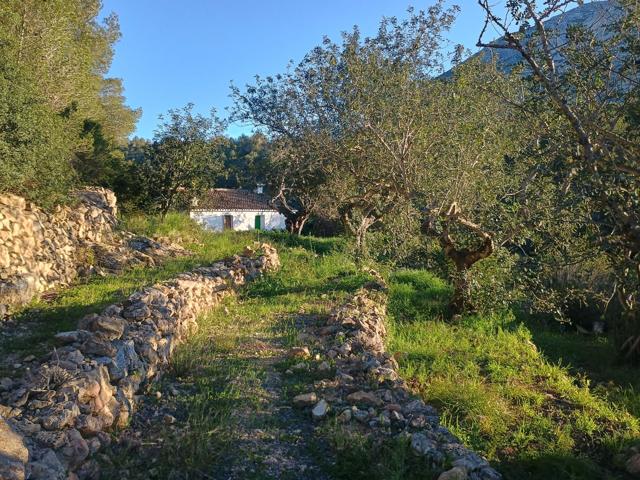 Casa En venta en Dénia photo 0