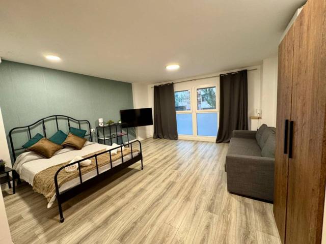 ¡Descubre este espectacular estudio en el corazón de Alicante! photo 0