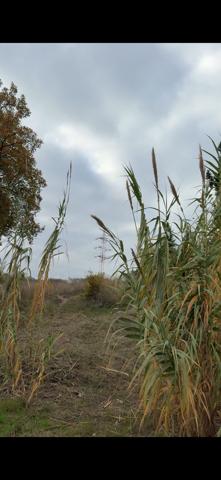 Terreno residencial exclusivo en El Castellet photo 0