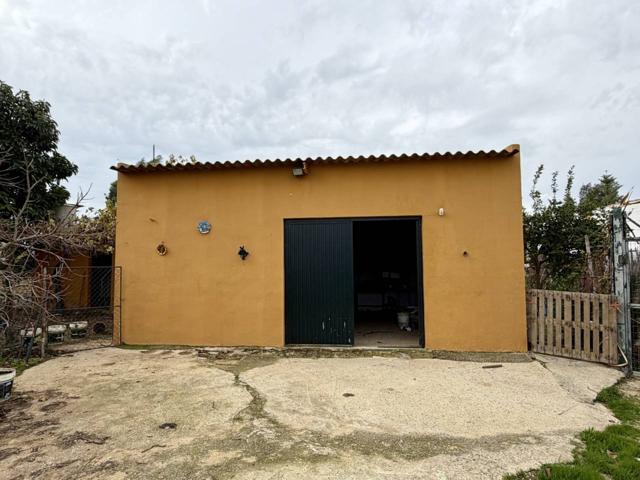 PARCELA RÚSTICA EN MOGUER photo 0