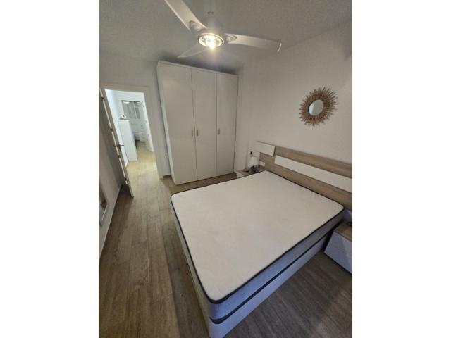 Piso En alquiler en Torrevieja photo 0