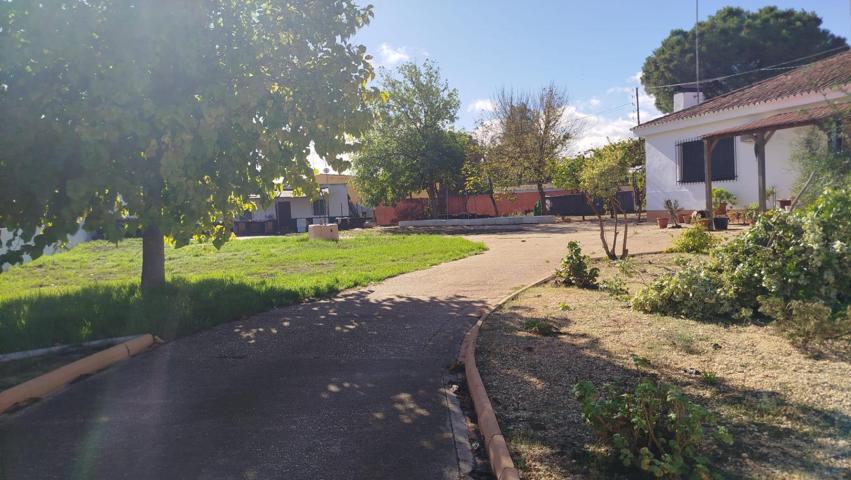 Exclusiva casa de campo en Beas, zona de 'Parralejo'. photo 0