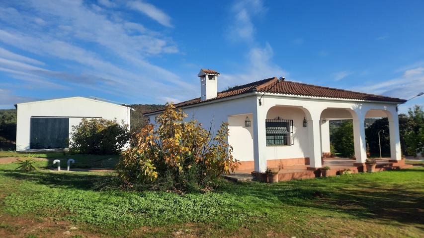 Olivar con casa y piscina en venta en Posadas (Córdoba) photo 0